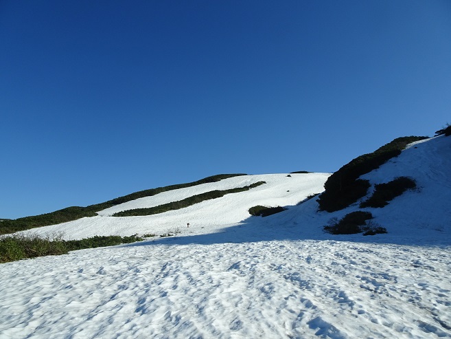 f:id:suteki-hokkaido:20200531185653j:plain