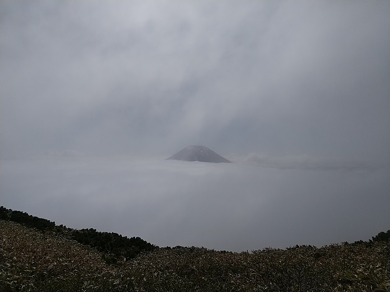 f:id:suteki-hokkaido:20200608201328j:plain f:id:suteki-hokkaido:20200608201328j:plain