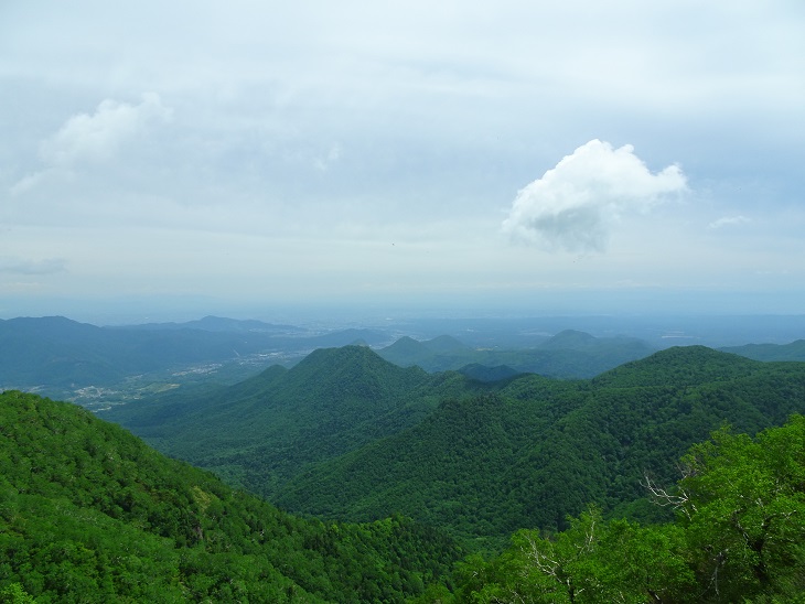 f:id:suteki-hokkaido:20200616211932j:plain f:id:suteki-hokkaido:20200616211932j:plain