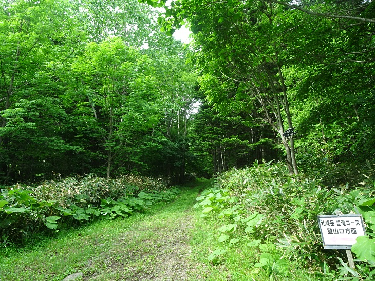 f:id:suteki-hokkaido:20200616211946j:plain f:id:suteki-hokkaido:20200616211946j:plain
