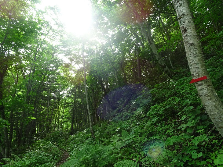 f:id:suteki-hokkaido:20200616212005j:plain f:id:suteki-hokkaido:20200616212005j:plain