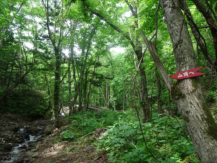 f:id:suteki-hokkaido:20200616212015j:plain f:id:suteki-hokkaido:20200616212015j:plain