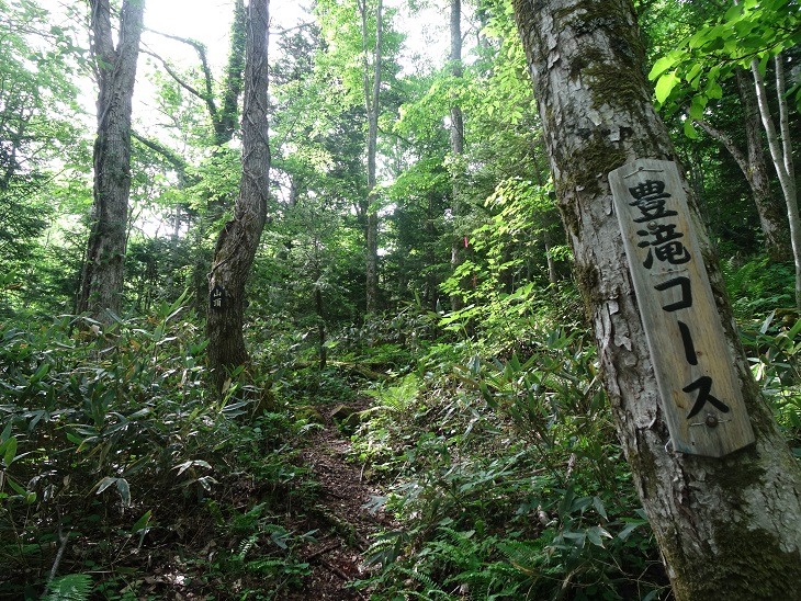 f:id:suteki-hokkaido:20200616212023j:plain f:id:suteki-hokkaido:20200616212023j:plain