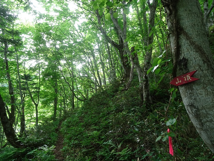 f:id:suteki-hokkaido:20200616212027j:plain f:id:suteki-hokkaido:20200616212027j:plain