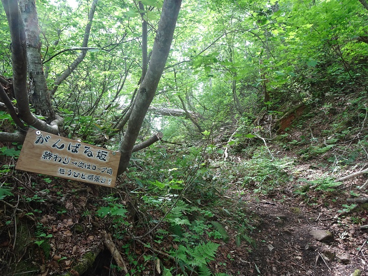 f:id:suteki-hokkaido:20200616212038j:plain f:id:suteki-hokkaido:20200616212038j:plain