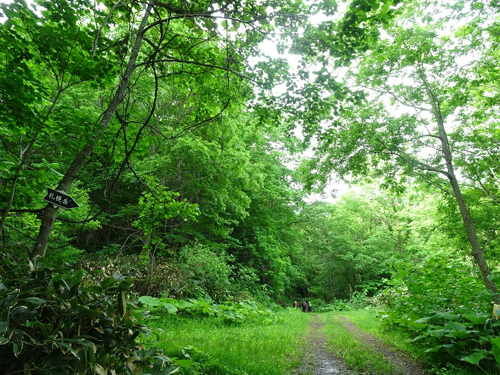 f:id:suteki-hokkaido:20200616220701j:plain f:id:suteki-hokkaido:20200616220701j:plain