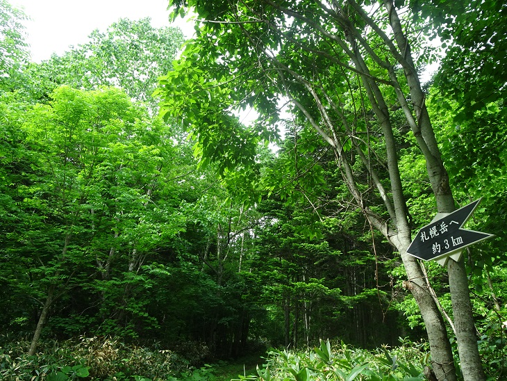 f:id:suteki-hokkaido:20200616221447j:plain f:id:suteki-hokkaido:20200616221447j:plain