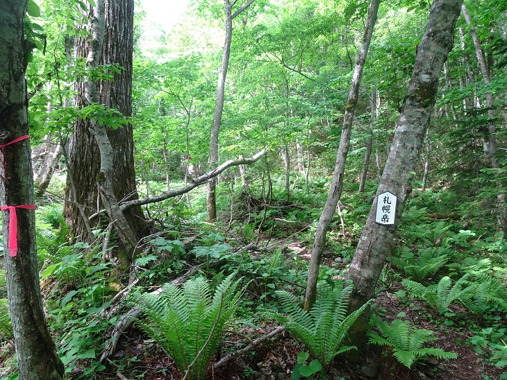 f:id:suteki-hokkaido:20200616222635j:plain f:id:suteki-hokkaido:20200616222635j:plain