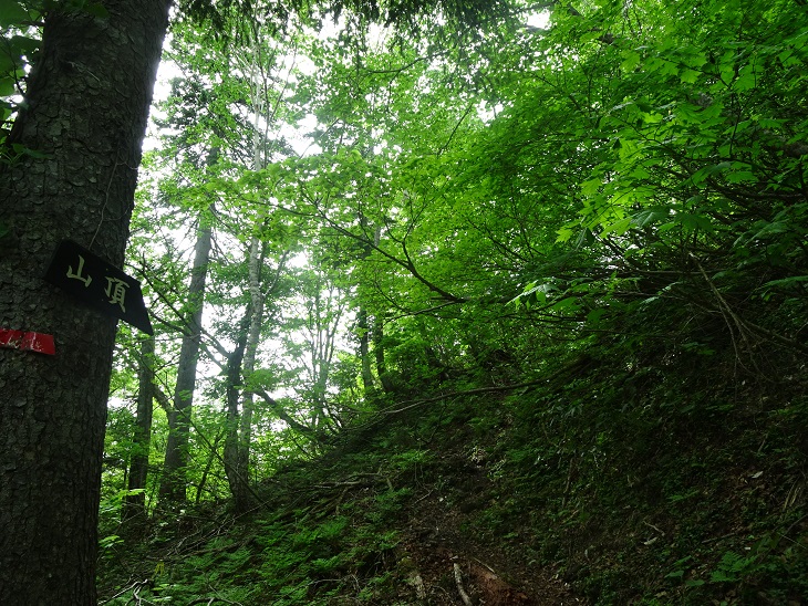 f:id:suteki-hokkaido:20200616223934j:plain f:id:suteki-hokkaido:20200616223934j:plain