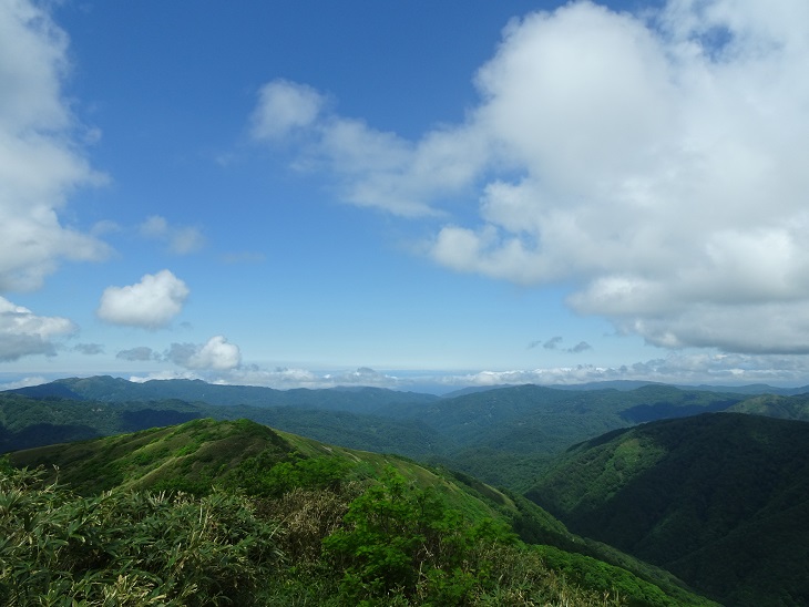 f:id:suteki-hokkaido:20200621162444j:plain