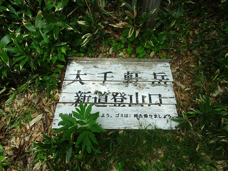 f:id:suteki-hokkaido:20200621162454j:plain