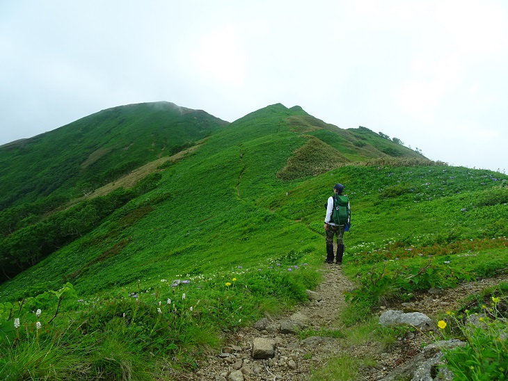 f:id:suteki-hokkaido:20200621162507j:plain