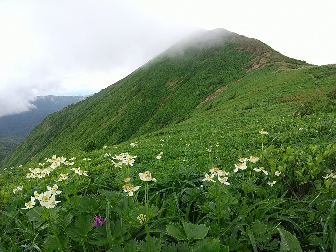 f:id:suteki-hokkaido:20200621162514j:plain