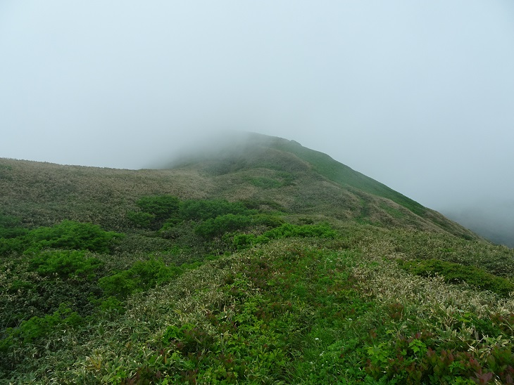 f:id:suteki-hokkaido:20200621162518j:plain