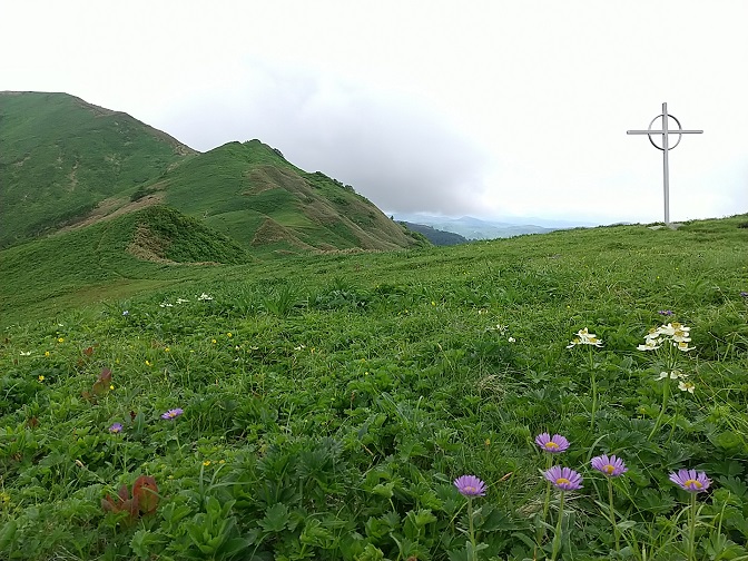f:id:suteki-hokkaido:20200621162539j:plain
