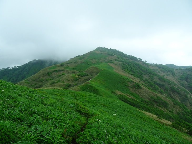 f:id:suteki-hokkaido:20200621172909j:plain