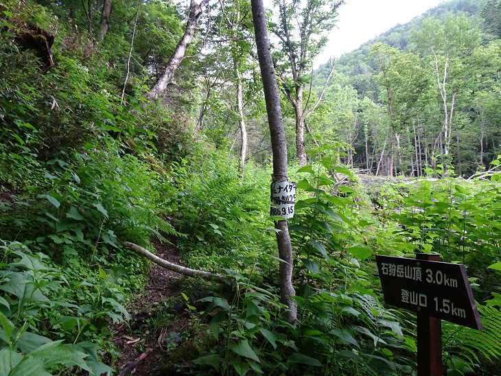 f:id:suteki-hokkaido:20200706205458j:plain