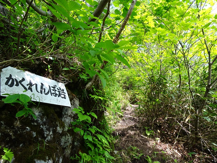 f:id:suteki-hokkaido:20200706205509j:plain