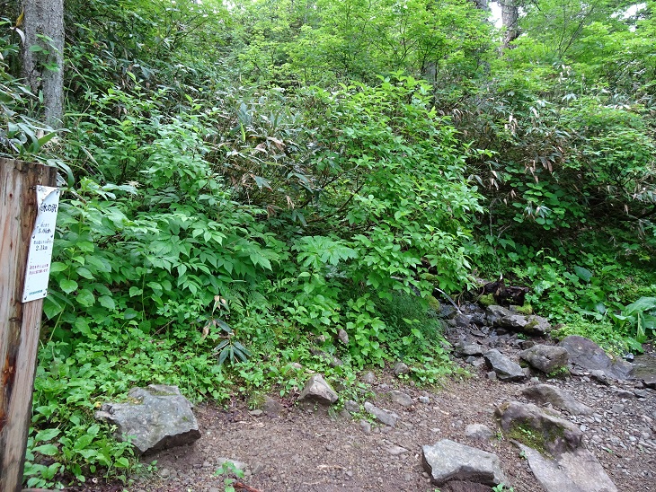 f:id:suteki-hokkaido:20200716204854j:plain