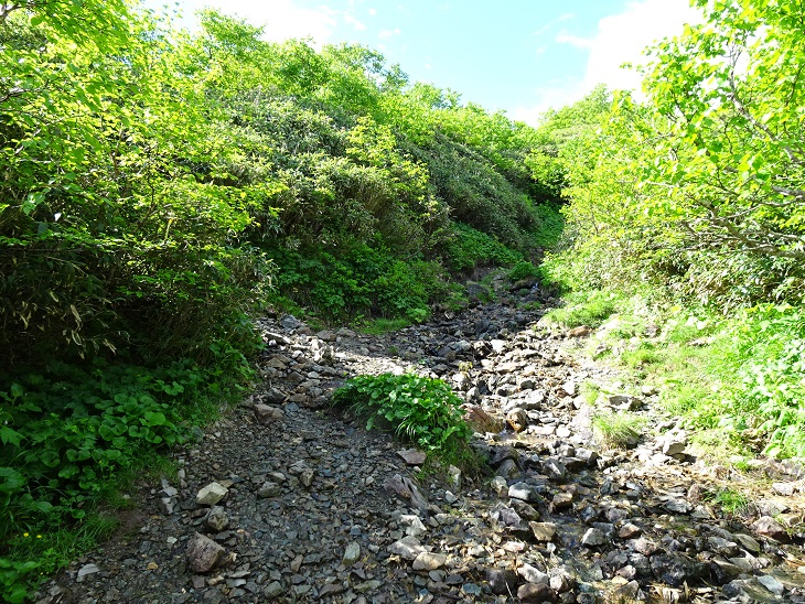 f:id:suteki-hokkaido:20200716204916j:plain