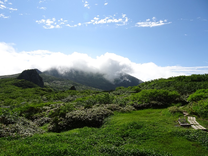 f:id:suteki-hokkaido:20200716204920j:plain