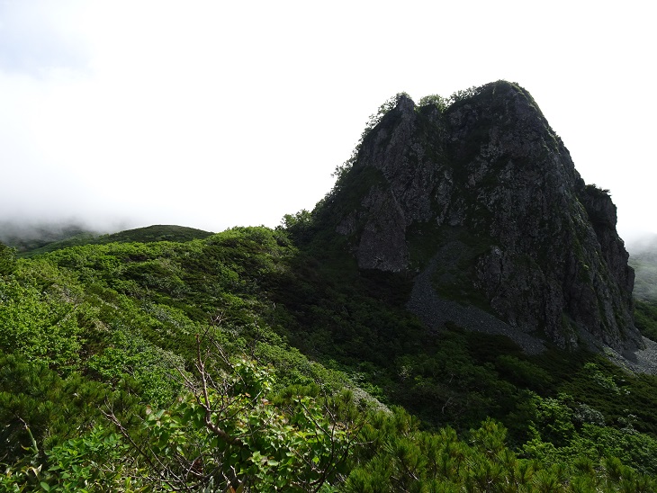 f:id:suteki-hokkaido:20200716204927j:plain