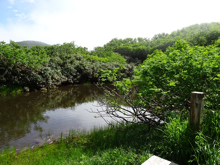 f:id:suteki-hokkaido:20200716204932j:plain