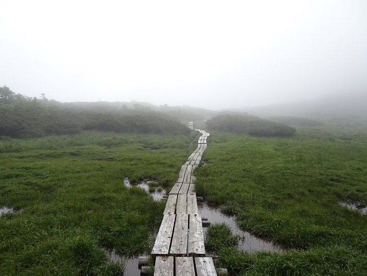 f:id:suteki-hokkaido:20200716204936j:plain