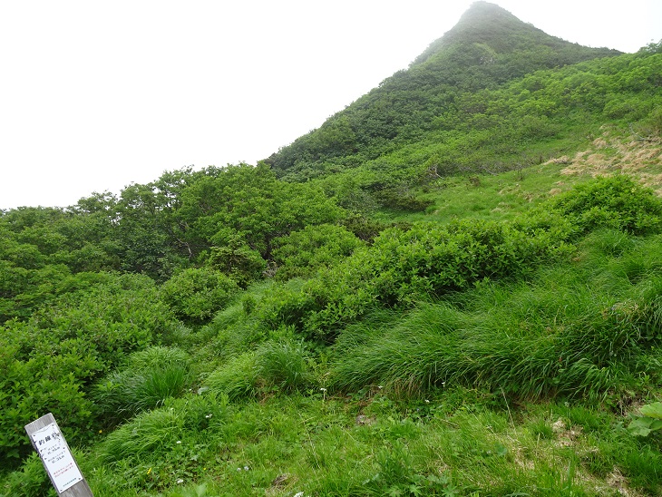 f:id:suteki-hokkaido:20200716204939j:plain