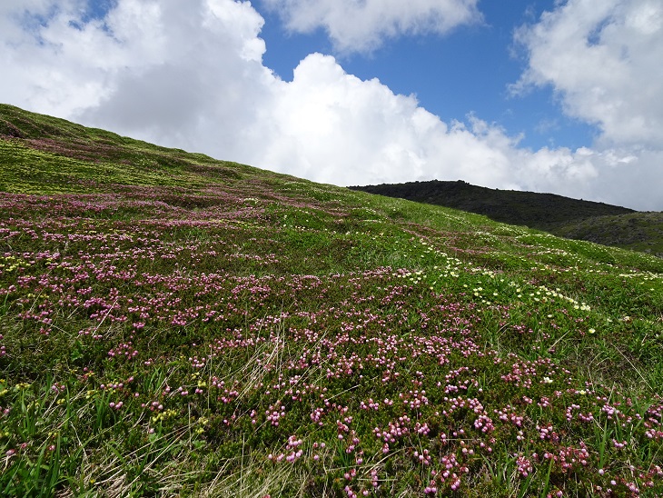 f:id:suteki-hokkaido:20200720211107j:plain