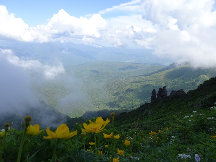 f:id:suteki-hokkaido:20200720211129j:plain