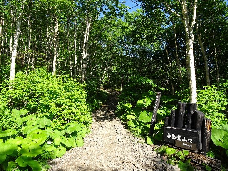 f:id:suteki-hokkaido:20200720211132j:plain