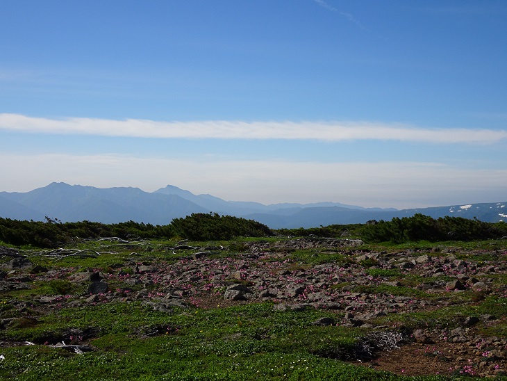 f:id:suteki-hokkaido:20200720211141j:plain