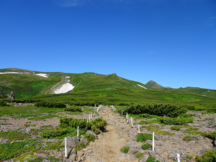 f:id:suteki-hokkaido:20200720211145j:plain
