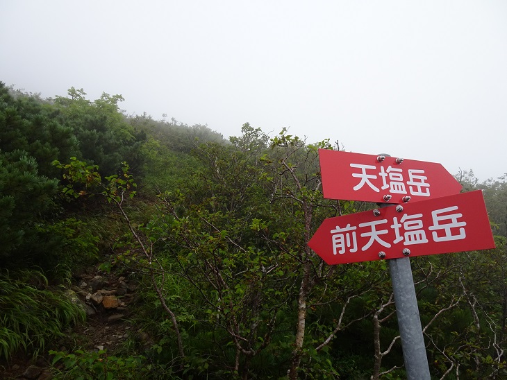 f:id:suteki-hokkaido:20200810160251j:plain