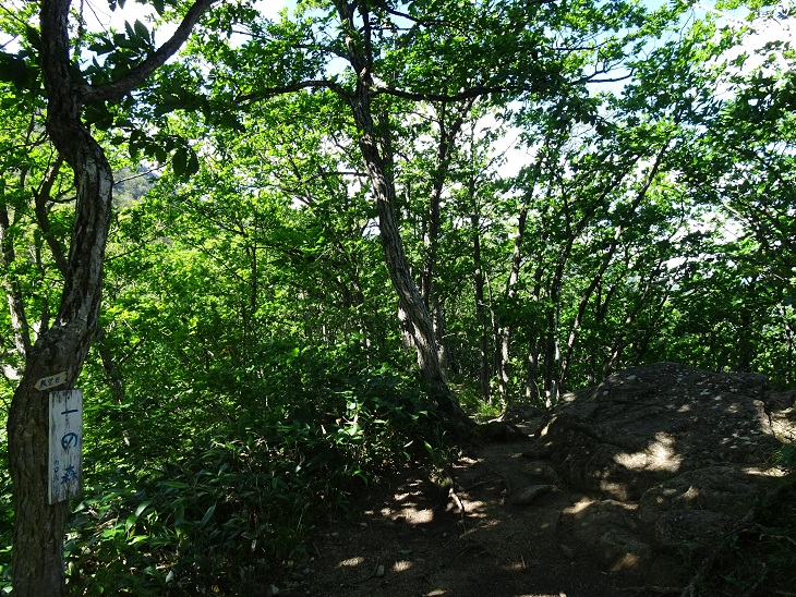 f:id:suteki-hokkaido:20200814091321j:plain