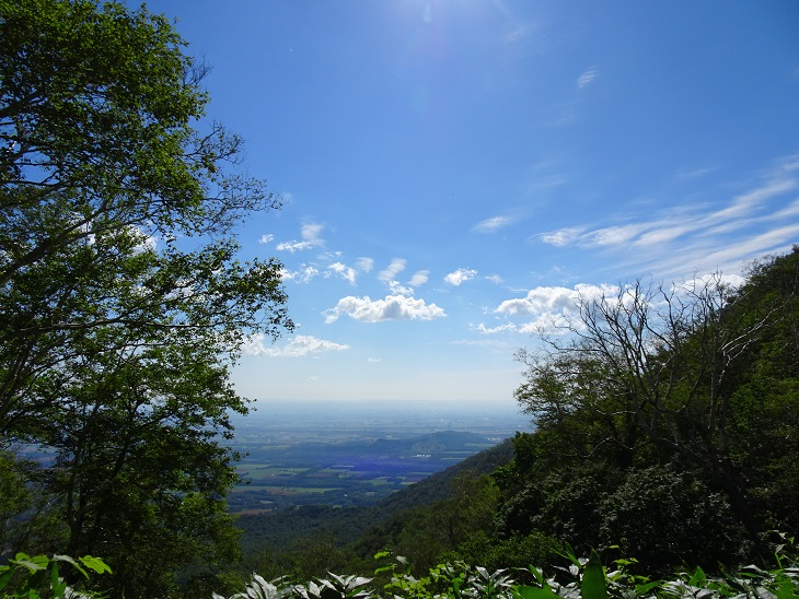f:id:suteki-hokkaido:20200814091325j:plain