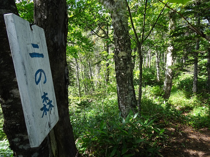 f:id:suteki-hokkaido:20200814091331j:plain