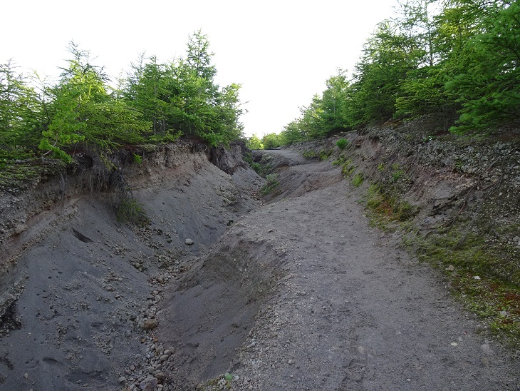 f:id:suteki-hokkaido:20200817203025j:plain