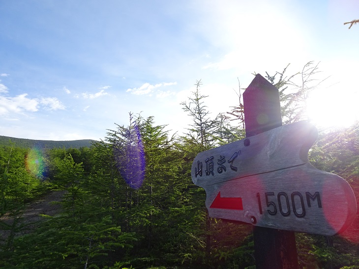 f:id:suteki-hokkaido:20200817203030j:plain