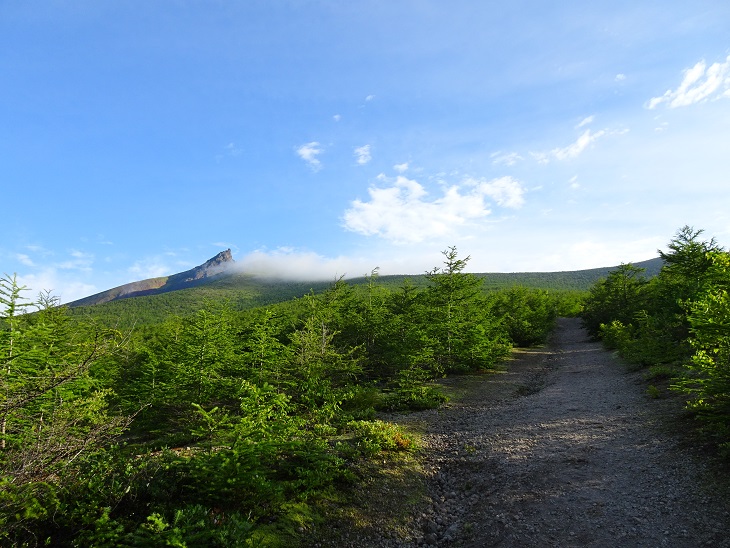 f:id:suteki-hokkaido:20200817203033j:plain