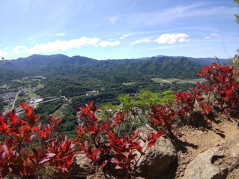 f:id:suteki-hokkaido:20200907222446j:plain