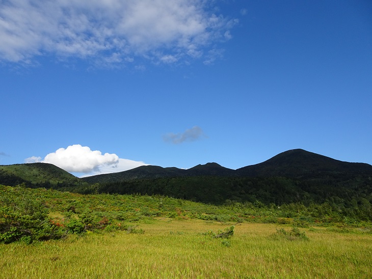 f:id:suteki-hokkaido:20200922222526j:plain