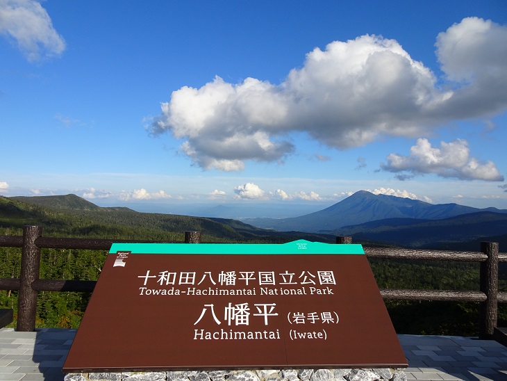 f:id:suteki-hokkaido:20200925220949j:plain