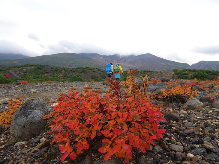 f:id:suteki-hokkaido:20201005221652j:plain f:id:suteki-hokkaido:20201005221652j:plain