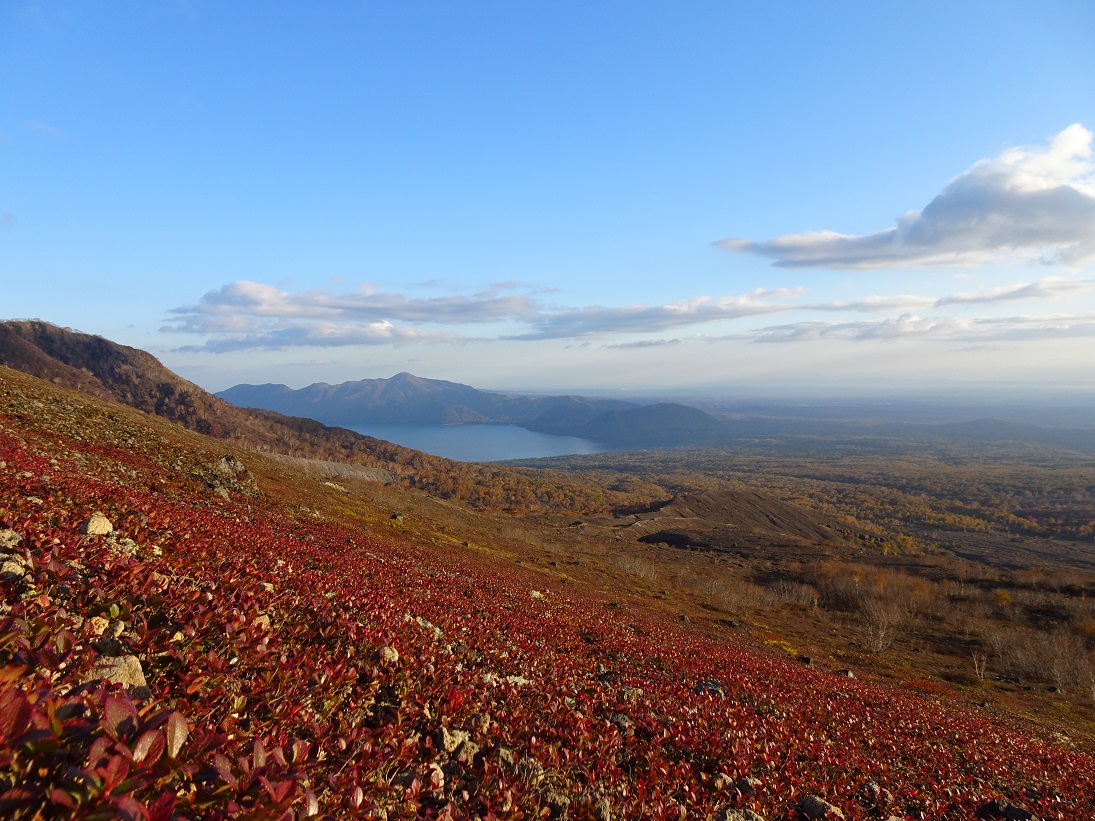 f:id:suteki-hokkaido:20201018162749j:plain f:id:suteki-hokkaido:20201018162749j:plain