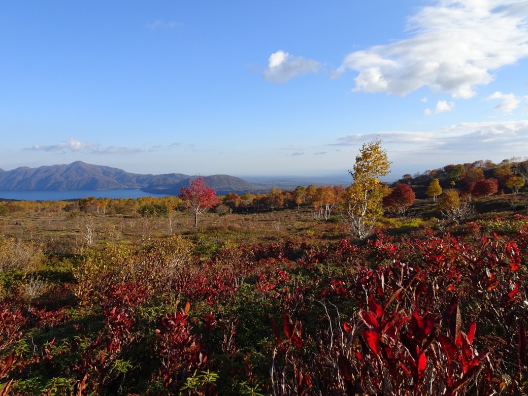 f:id:suteki-hokkaido:20201018162802j:plain f:id:suteki-hokkaido:20201018162802j:plain