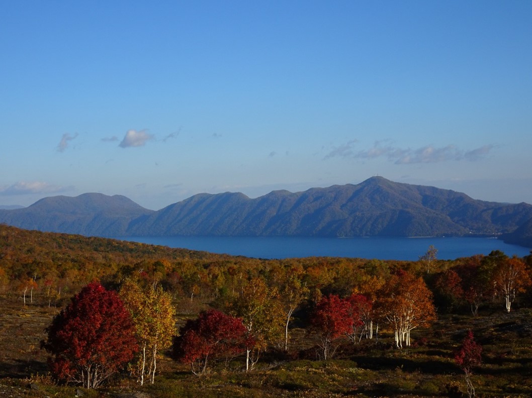 f:id:suteki-hokkaido:20201018162805j:plain f:id:suteki-hokkaido:20201018162805j:plain