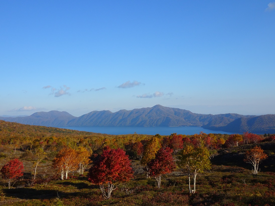 f:id:suteki-hokkaido:20201018162810j:plain f:id:suteki-hokkaido:20201018162810j:plain