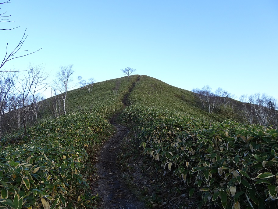 f:id:suteki-hokkaido:20201103124705j:plain f:id:suteki-hokkaido:20201103124705j:plain